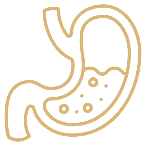 Ícone de Cirurgia Bariátrica